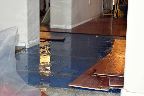 Professional Basement Flooding technician working in Harshaw, WI